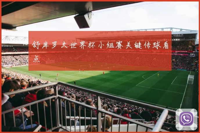 舒库罗夫世界杯小组赛关键传球看点