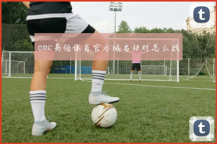 emc易倍体育官方域名核对怎么找