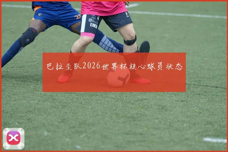 巴拉圭队2026世界杯核心球员状态