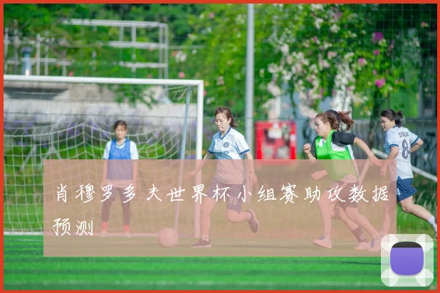 肖穆罗多夫世界杯小组赛助攻数据预测